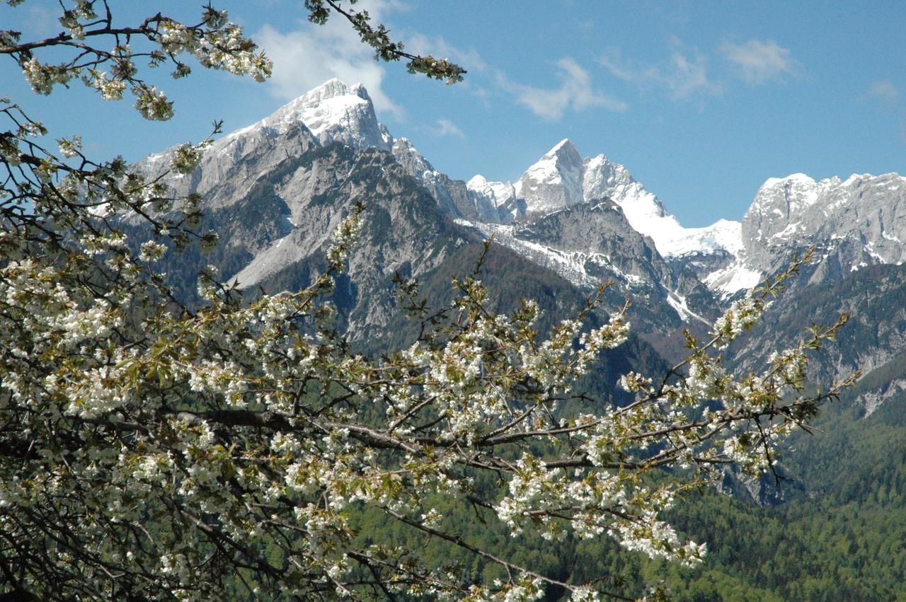 House Neza Apartman Kranjska Gora Kültér fotó