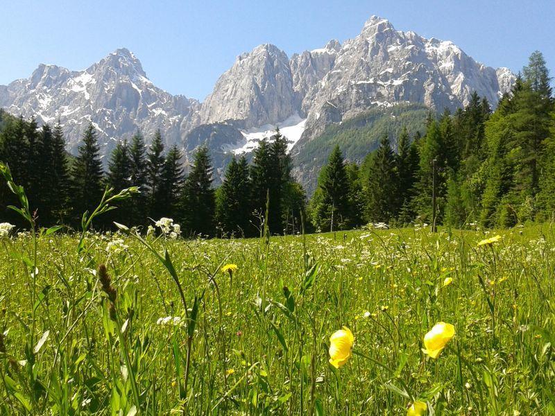 House Neza Apartman Kranjska Gora Kültér fotó
